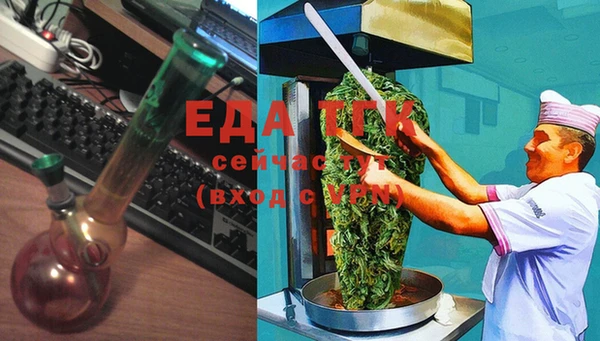хмурый Алзамай
