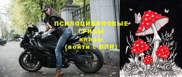 хмурый Алзамай