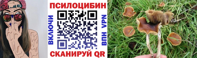 Псилоцибиновые грибы прущие грибы Курганинск